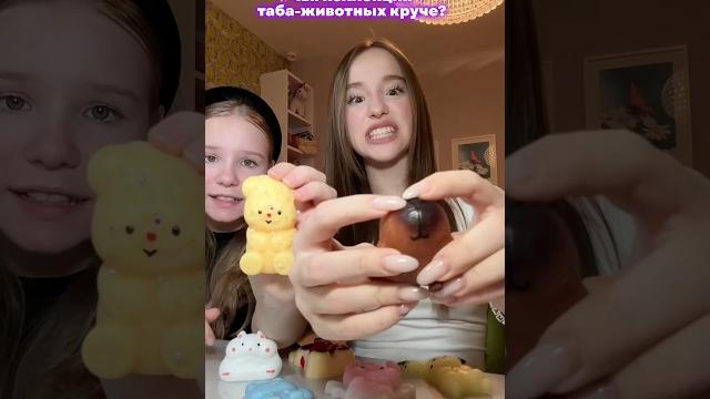 выбираем таба-животное #табалапка #тикток выбираем таба-животное #табалапка #тикток