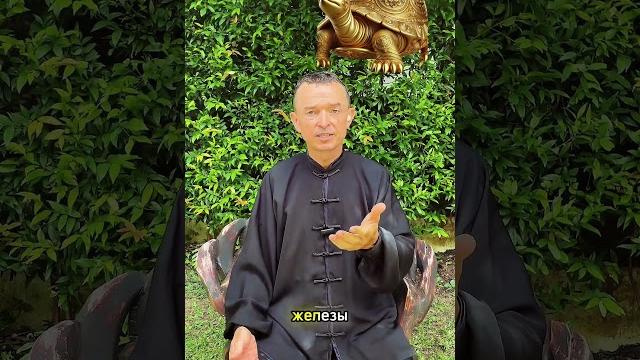 - Щитовидная железа в опасности? Telegram: https://t.me/Ed_qigong108 #щитовидка #щитовиднаяжелеза - Щитовидная железа в опасности? Telegram: https://t.me/Ed_qigong108 #щитовидка #щитовиднаяжелеза