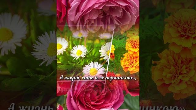 Поздравление с Днём Рождения — коротко и красиво! #видеопоздравление #цветы #сднемрождения Поздравление с Днём Рождения — коротко и красиво! #видеопоздравление #цветы #сднемрождения
