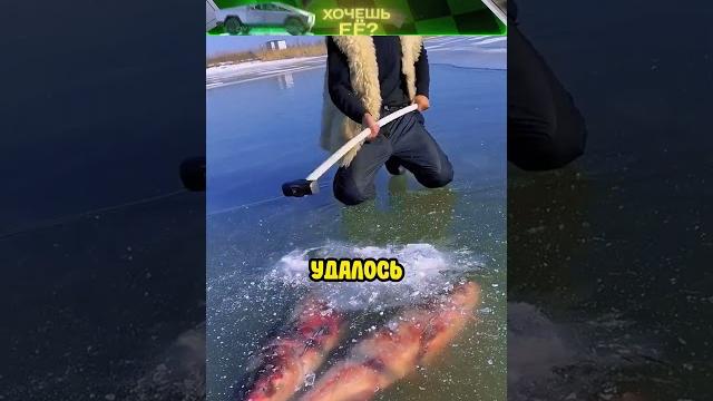 Этот парень добыл рыбы для своей голодающей семьи! Этот парень добыл рыбы для своей голодающей семьи!