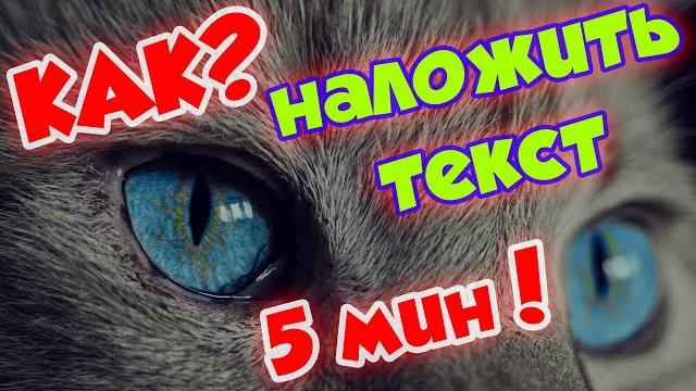 Лайфхак / Как за 5 минут добавить текст на картинку Лайфхак / Как за 5 минут добавить текст на картинку