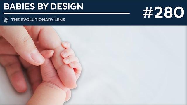 Babies by Design: The 280th Evolutionary Lens with Bret Weinstein and Heather Heying Babies by Design: The 280th Evolutionary Lens with Bret Weinstein and Heather Heying
