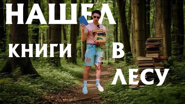 охота на старые книги в лесу охота на старые книги в лесу