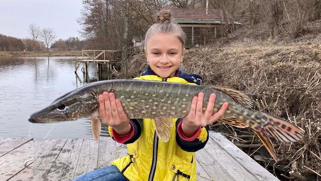 vlog Рыбалка на спиннинг поймали щуку vlog Рыбалка на спиннинг поймали щуку