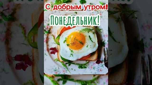 С добрым утром!️️️Понедельника С добрым утром!️️️Понедельника