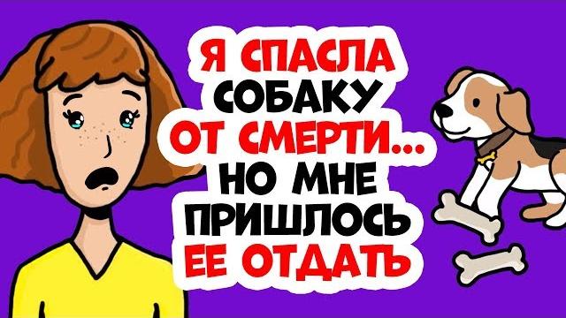 Я спасла собаку, но мне пришлось ее отдать Я спасла собаку, но мне пришлось ее отдать