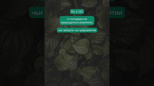 4-ОС: кто сдаёт? #shorts #экология #4ОС 4-ОС: кто сдаёт? #shorts #экология #4ОС