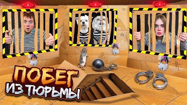 ПОБЕГ ИЗ КАРТОННОЙ ТЮРЬМЫ С КОТАМИ И СОБАКОЙ ПОБЕГ ИЗ КАРТОННОЙ ТЮРЬМЫ С КОТАМИ И СОБАКОЙ