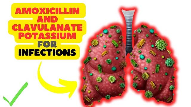 Amoxicillin and Clavulanate Potassium: A Dual-Action Antibiotic for Bacterial Infections Amoxicillin and Clavulanate Potassium: A Dual-Action Antibiotic for Bacterial Infections