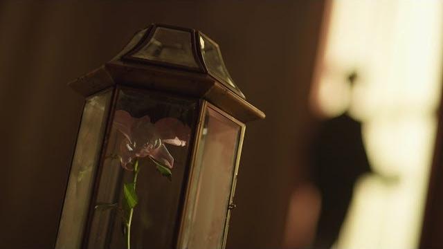 BTS (방탄소년단) 'FAKE LOVE' Official MV (Extended ver.) BTS (방탄소년단) 'FAKE LOVE' Official MV (Extended ver.)