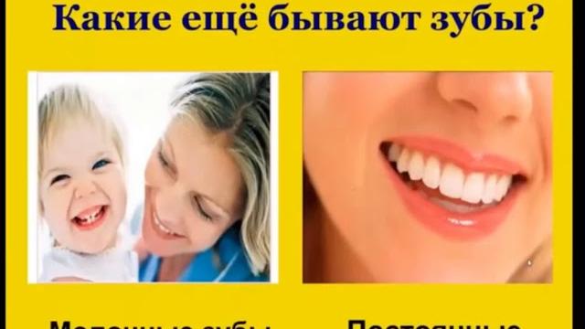 Почему надо чистить зубы и мыть руки Почему надо чистить зубы и мыть руки