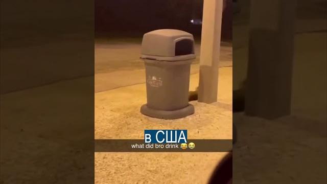 Пьяный енот стал звездой в США Пьяный енот стал звездой в США