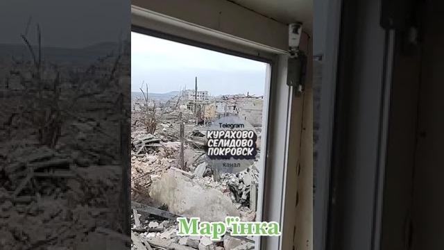 6 марта 2025 г. 6 марта 2025 г.