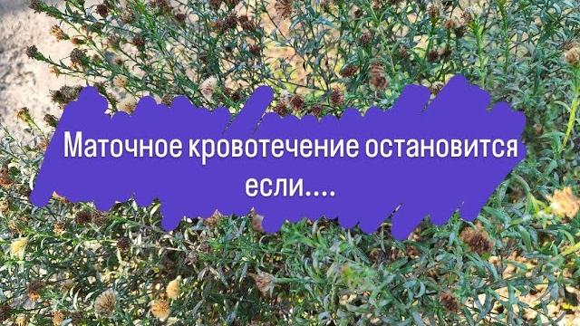Вот что помогает при ювенильных кровотечениях! Вот что помогает при ювенильных кровотечениях!