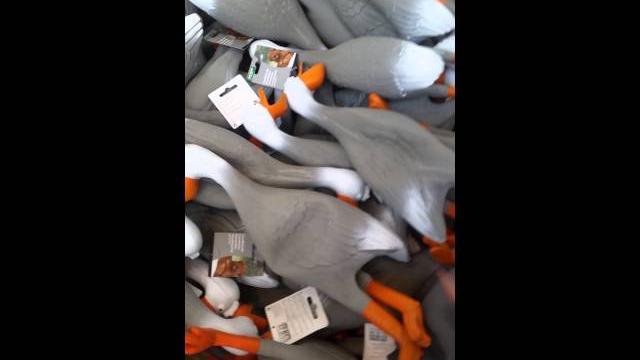 Duck Army Duck Army