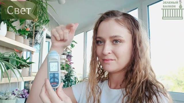 🟣🟢 Фикус ЛЫСЕЕТ НЕСПРОСТА: ПЯТЬ ГЛАВНЫХ ПРИЧИН 🟣🟢 Фикус ЛЫСЕЕТ НЕСПРОСТА: ПЯТЬ ГЛАВНЫХ ПРИЧИН