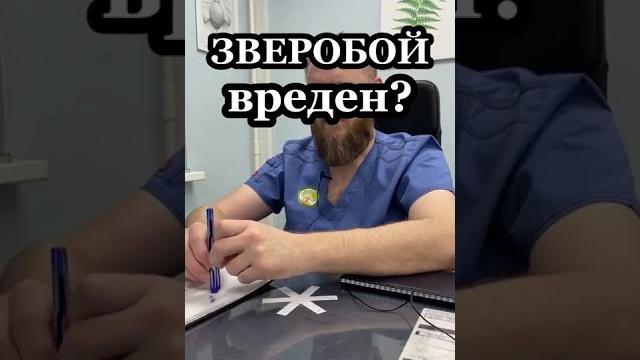 Вреден ли зверобой в больших и частых количествах Вреден ли зверобой в больших и частых количествах
