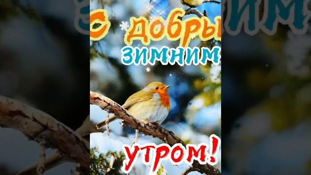 с ДОБРЫМ УТРОМ! с ДОБРЫМ УТРОМ!