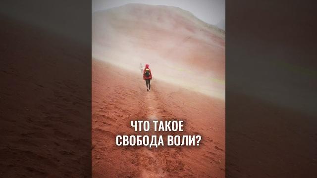 Что такое свобода ВОЛИ ? #аланмамиев #пробуждение Что такое свобода ВОЛИ ? #аланмамиев #пробуждение