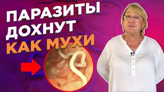 ЛУЧШЕЕ НАТУРАЛЬНОЕ СРЕДСТВО ОТ ПАРАЗИТОВ ЛУЧШЕЕ НАТУРАЛЬНОЕ СРЕДСТВО ОТ ПАРАЗИТОВ