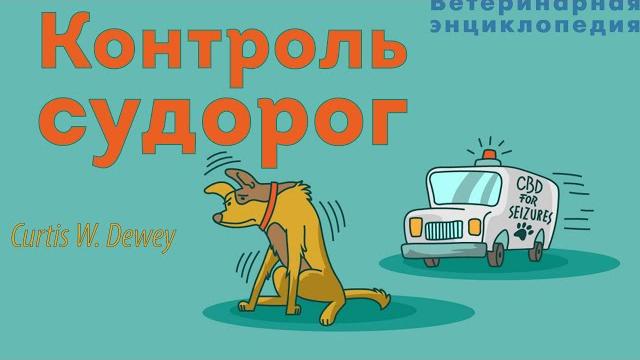 Контроль судорог. Эпилепсия Контроль судорог. Эпилепсия