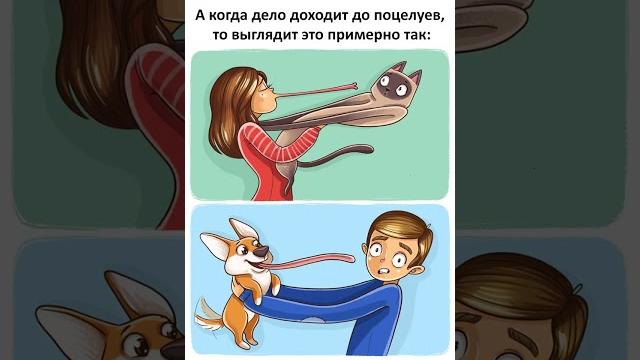 Мем про кошек и собак Мем про кошек и собак