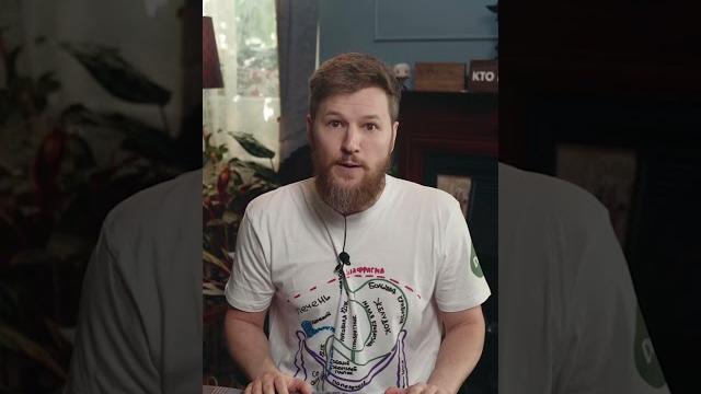 Герпес можно вылечить не за 2 недели, а всего за 2 дня Герпес можно вылечить не за 2 недели, а всего за 2 дня