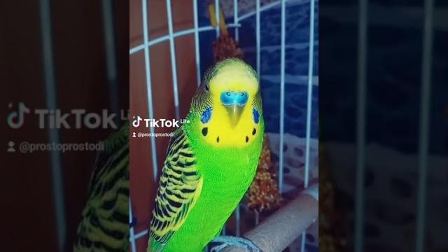 Зачем я пил восьмой стакан?! Зачем я пил восьмой стакан?!
