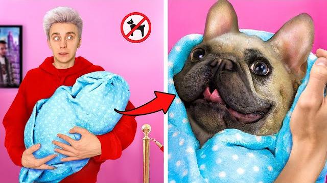 14 Способов Пронести ЖИВОТНЫХ в КИНОТЕАТР ! 14 Способов Пронести ЖИВОТНЫХ в КИНОТЕАТР !