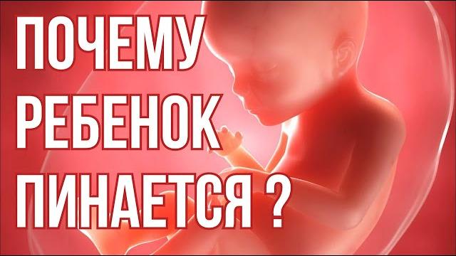Почему Ребенок Пинается в Утробе ? Шевеления Плода. Почему Ребенок Пинается в Утробе ? Шевеления Плода.