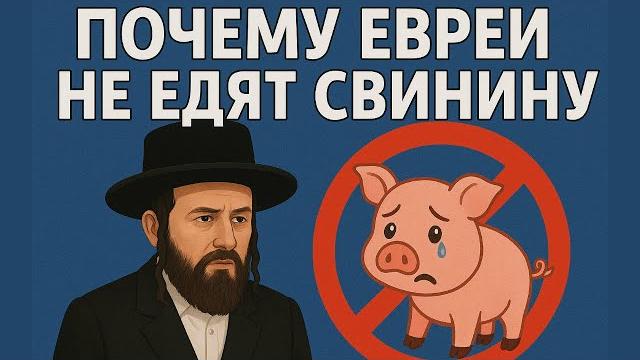 Почему ЕВРЕИ не едят СВИНИНУ ? Почему ЕВРЕИ не едят СВИНИНУ ?