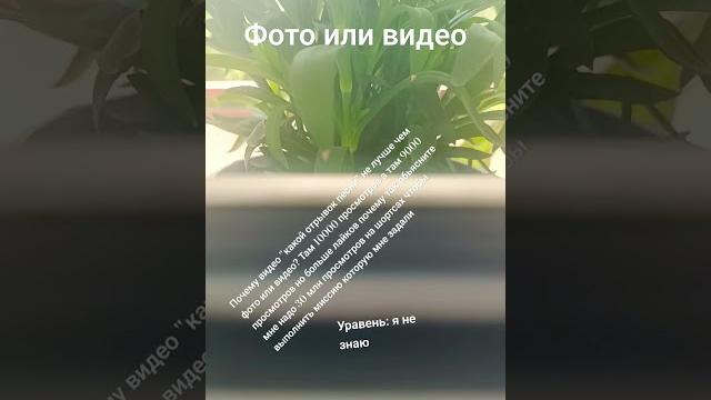 фото или видео фото или видео