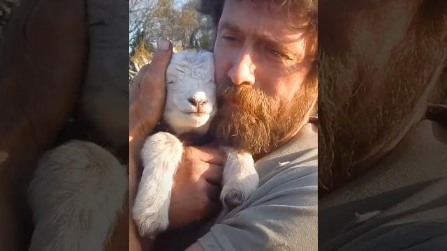 Animals teach us love ️ Animals teach us love ️