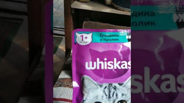 почему называется Wiskas (Вискас)? английский почему называется Wiskas (Вискас)? английский