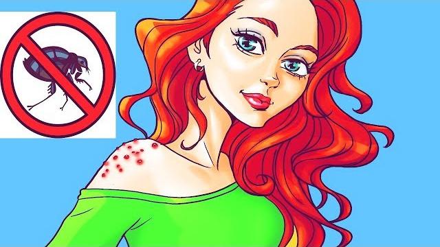 Чем Опасны Укусы Блох и Как их Лечить Чем Опасны Укусы Блох и Как их Лечить
