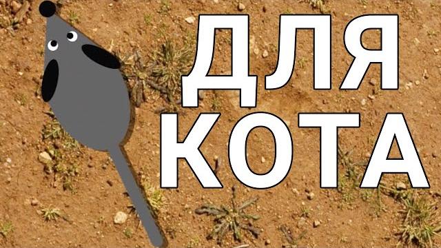 Видео ДЛЯ КОТОВ мышь БЕГАЕТ и ПИЩИТ по экрану Видео ДЛЯ КОТОВ мышь БЕГАЕТ и ПИЩИТ по экрану