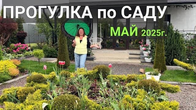 ПРОГУЛКА по САДУ МАЙ 2025г: Что ЦВЕТЕТ в саду, НОВЫЕ растения, работы в САДУ и переделки ПРОГУЛКА по САДУ МАЙ 2025г: Что ЦВЕТЕТ в саду, НОВЫЕ растения, работы в САДУ и переделки