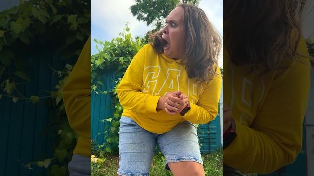 Stole a Stoller! #damus #tiktok #comedy #funny #family #cute Stole a Stoller! #damus #tiktok #comedy #funny #family #cute