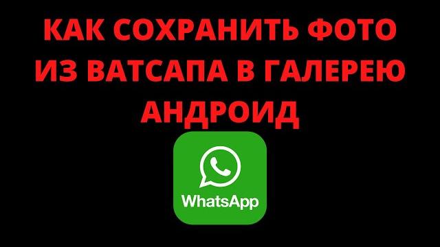 Как сохранить фото из ватсапа в галерею андроид Как сохранить фото из ватсапа в галерею андроид