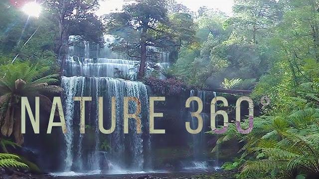 Virtual Nature 360° - Nature Meditation for VR Quest Virtual Nature 360° - Nature Meditation for VR Quest