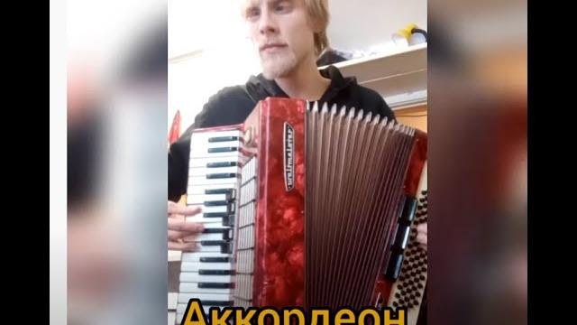 мои музыкальные инструменты! мои музыкальные инструменты!