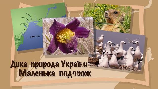 Дика природа України. Wild Ukraine. Дика природа України. Wild Ukraine.