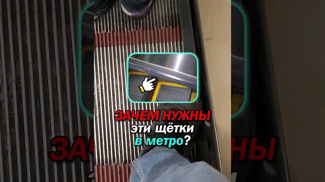 ЗАЧЕМ нужны щётки ЭСКАЛАТОРАМ? ЗАЧЕМ нужны щётки ЭСКАЛАТОРАМ?