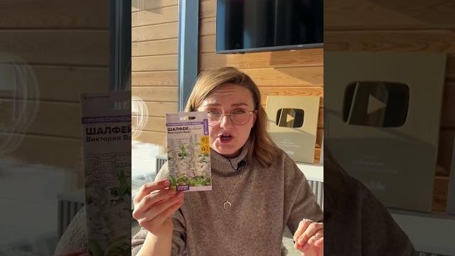Новинка! Шалфей мучнистый Новинка! Шалфей мучнистый