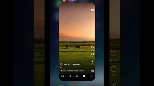 Как легко и просто скачать видео с инстаграма? Как легко и просто скачать видео с инстаграма?