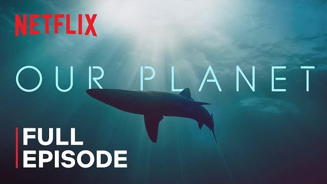 Our Planet | Coastal Seas | FULL EPISODE | Netflix Our Planet | Coastal Seas | FULL EPISODE | Netflix