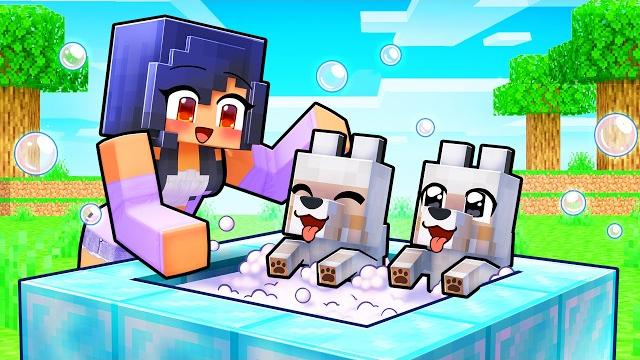 Aphmau opens a DOG SPA in Minecraft! Aphmau opens a DOG SPA in Minecraft!