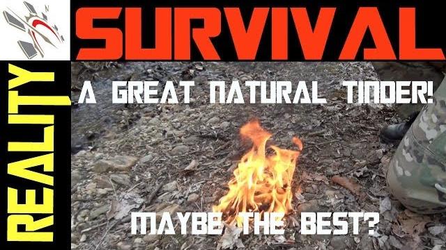 The Best Natural Fire Starting Tinder. Period! The Best Natural Fire Starting Tinder. Period!