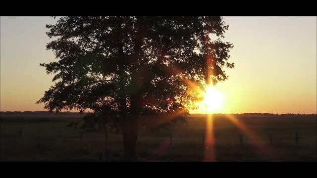 Киноэссе Человек и природа Киноэссе Человек и природа
