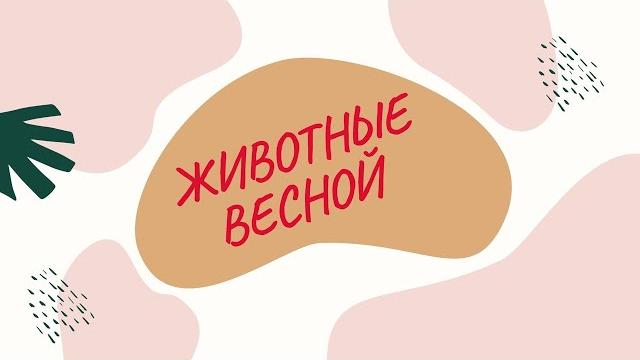 Животные весной. Развивающее видео для детей Животные весной. Развивающее видео для детей